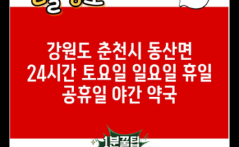 강원도 춘천시 동산면 24시간 토요일 일요일 휴일 공휴일 야간 약국