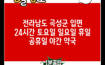 전라남도 곡성군 입면 24시간 토요일 일요일 휴일 공휴일 야간 약국