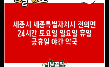 세종시 세종특별자치시 전의면 24시간 토요일 일요일 휴일 공휴일 야간 약국