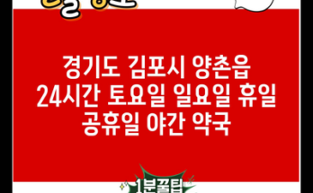 경기도 김포시 양촌읍 24시간 토요일 일요일 휴일 공휴일 야간 약국