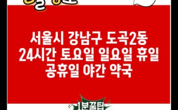 서울시 강남구 도곡2동 24시간 토요일 일요일 휴일 공휴일 야간 약국