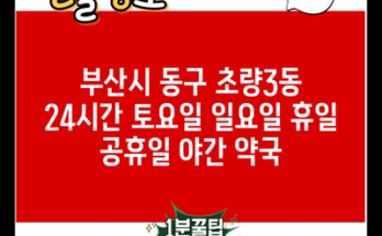 부산시 동구 초량3동 24시간 토요일 일요일 휴일 공휴일 야간 약국