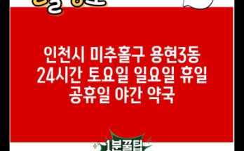 인천시 미추홀구 용현3동 24시간 토요일 일요일 휴일 공휴일 야간 약국