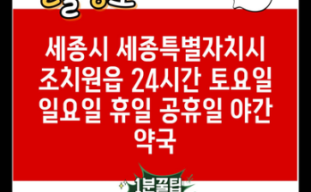 세종시 세종특별자치시 조치원읍 24시간 토요일 일요일 휴일 공휴일 야간 약국