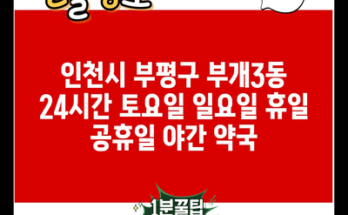 인천시 부평구 부개3동 24시간 토요일 일요일 휴일 공휴일 야간 약국