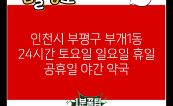 인천시 부평구 부개1동 24시간 토요일 일요일 휴일 공휴일 야간 약국