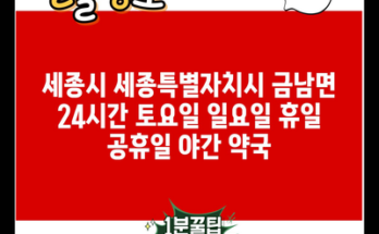 세종시 세종특별자치시 금남면 24시간 토요일 일요일 휴일 공휴일 야간 약국