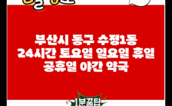 부산시 동구 수정1동 24시간 토요일 일요일 휴일 공휴일 야간 약국