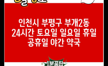 인천시 부평구 부개2동 24시간 토요일 일요일 휴일 공휴일 야간 약국