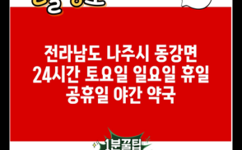 전라남도 나주시 동강면 24시간 토요일 일요일 휴일 공휴일 야간 약국