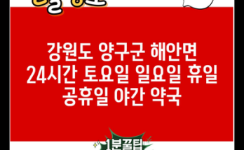 강원도 양구군 해안면 24시간 토요일 일요일 휴일 공휴일 야간 약국