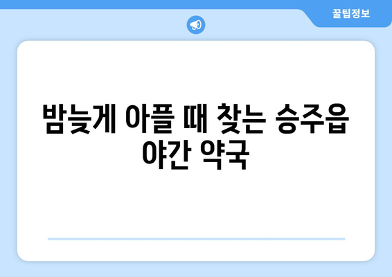 전라남도 순천시 승주읍 24시간 토요일 일요일 휴일 공휴일 야간 약국