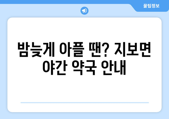 경상북도 예천군 지보면 24시간 토요일 일요일 휴일 공휴일 야간 약국