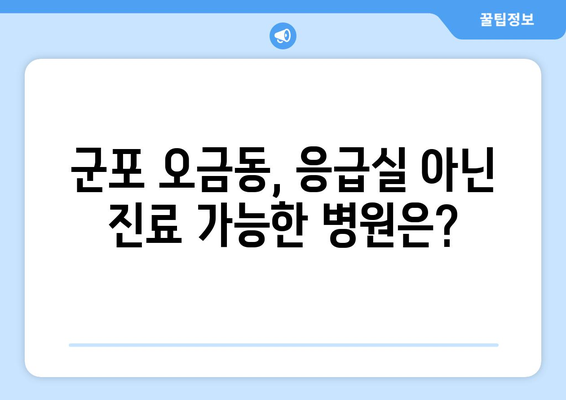 경기도 군포시 오금동 일요일 휴일 공휴일 야간 진료병원 리스트