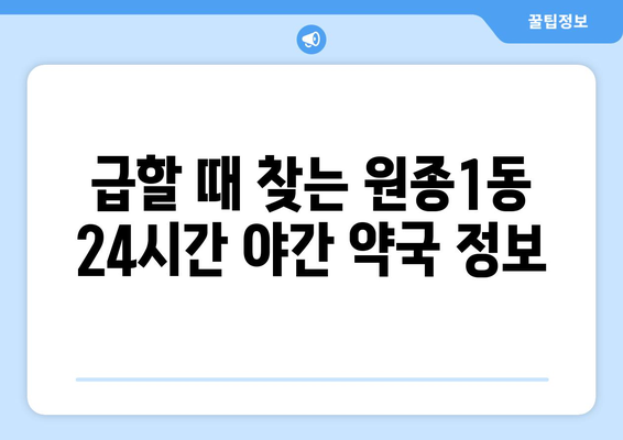 경기도 부천시 원종1동 24시간 토요일 일요일 휴일 공휴일 야간 약국