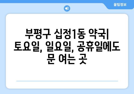 인천시 부평구 십정1동 24시간 토요일 일요일 휴일 공휴일 야간 약국