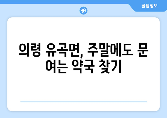 경상남도 의령군 유곡면 24시간 토요일 일요일 휴일 공휴일 야간 약국