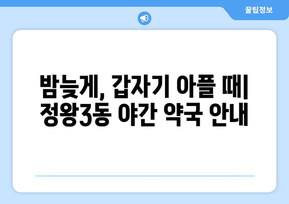 경기도 시흥시 정왕3동 24시간 토요일 일요일 휴일 공휴일 야간 약국