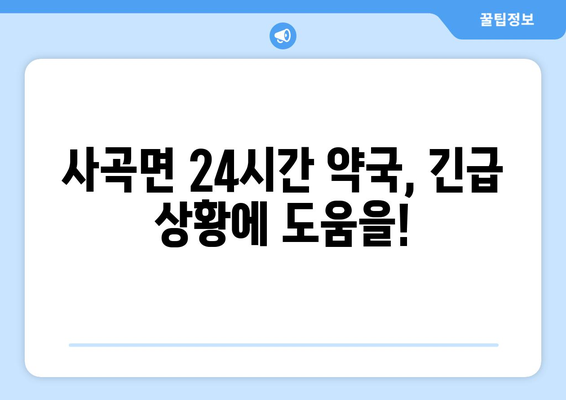 충청남도 공주시 사곡면 24시간 토요일 일요일 휴일 공휴일 야간 약국