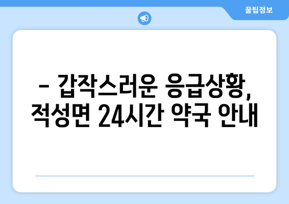 경기도 파주시 적성면 24시간 토요일 일요일 휴일 공휴일 야간 약국