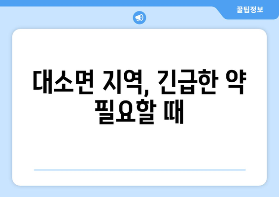 충청북도 음성군 대소면 24시간 토요일 일요일 휴일 공휴일 야간 약국