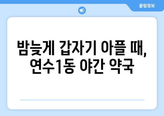 인천시 연수구 연수1동 24시간 토요일 일요일 휴일 공휴일 야간 약국