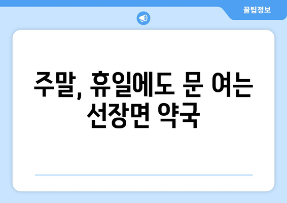 충청남도 아산시 선장면 24시간 토요일 일요일 휴일 공휴일 야간 약국