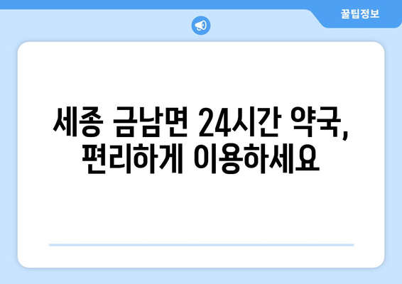 세종시 세종특별자치시 금남면 24시간 토요일 일요일 휴일 공휴일 야간 약국