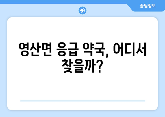 경상남도 창녕군 영산면 24시간 토요일 일요일 휴일 공휴일 야간 약국