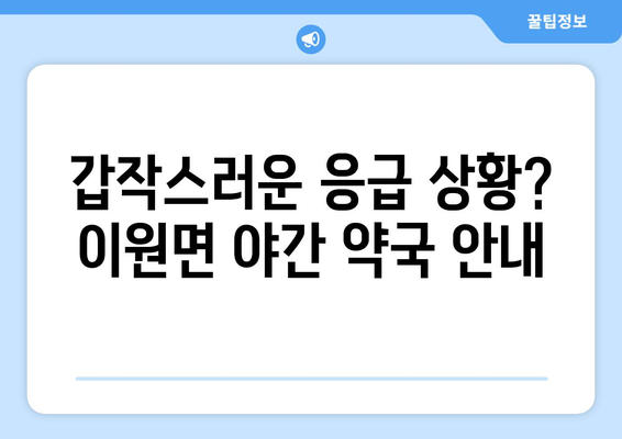 충청남도 태안군 이원면 24시간 토요일 일요일 휴일 공휴일 야간 약국