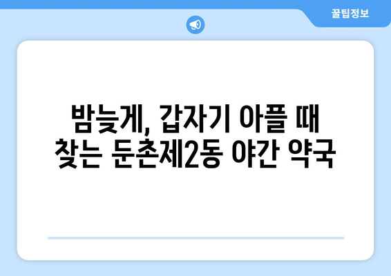 서울시 강동구 둔촌제2동 24시간 토요일 일요일 휴일 공휴일 야간 약국