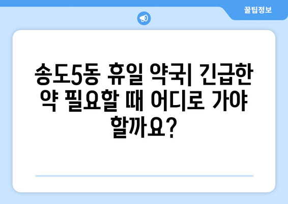 인천시 연수구 송도5동 24시간 토요일 일요일 휴일 공휴일 야간 약국