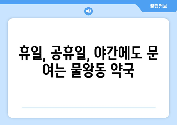 경기도 시흥시 물왕동 24시간 토요일 일요일 휴일 공휴일 야간 약국