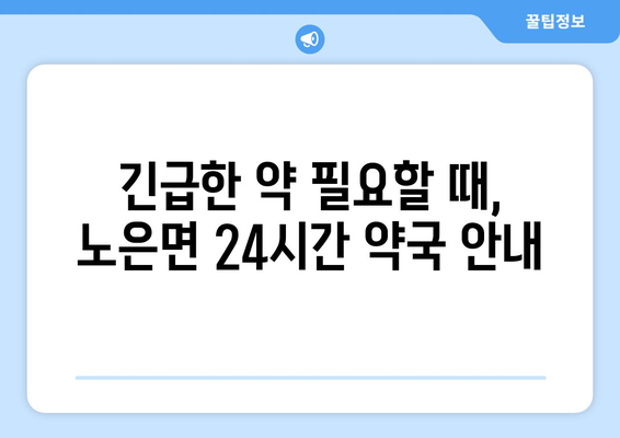 충청북도 충주시 노은면 24시간 토요일 일요일 휴일 공휴일 야간 약국