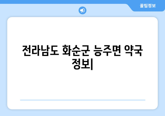 전라남도 화순군 능주면 24시간 토요일 일요일 휴일 공휴일 야간 약국