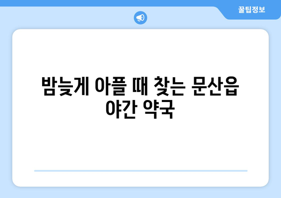 경상남도 진주시 문산읍 24시간 토요일 일요일 휴일 공휴일 야간 약국