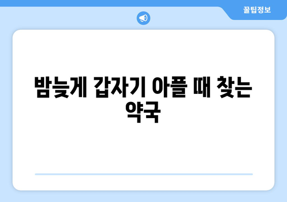 광주시 북구 운암2동 24시간 토요일 일요일 휴일 공휴일 야간 약국