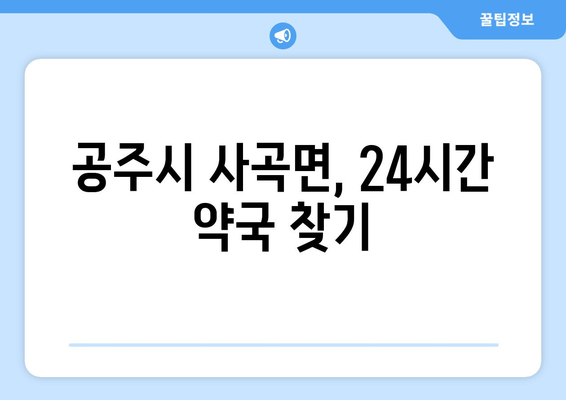 충청남도 공주시 사곡면 24시간 토요일 일요일 휴일 공휴일 야간 약국