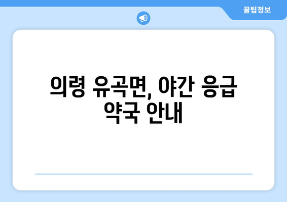 경상남도 의령군 유곡면 24시간 토요일 일요일 휴일 공휴일 야간 약국