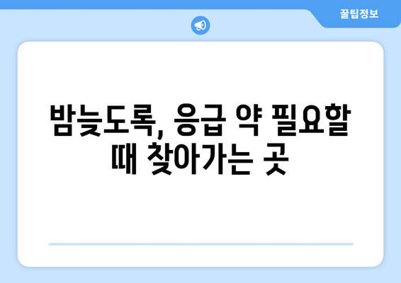 대전시 중구 석교동 24시간 토요일 일요일 휴일 공휴일 야간 약국