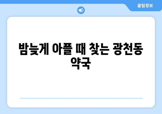 광주시 서구 광천동 24시간 토요일 일요일 휴일 공휴일 야간 약국