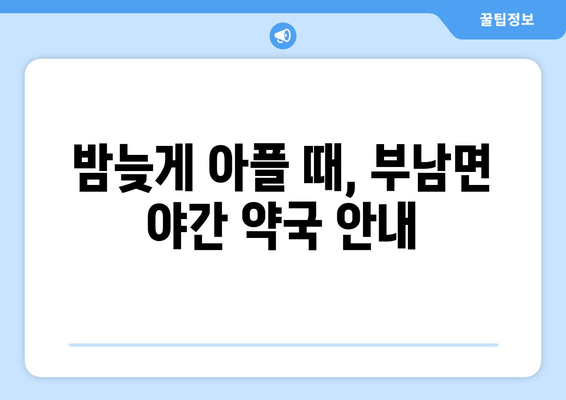 전라북도 무주군 부남면 24시간 토요일 일요일 휴일 공휴일 야간 약국