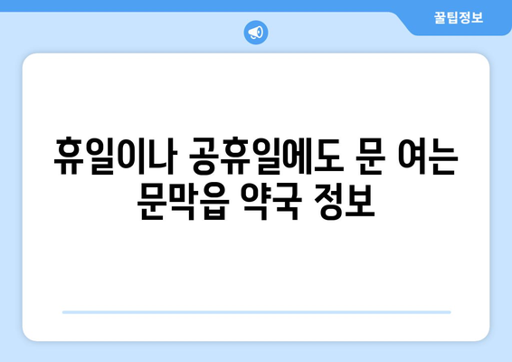 강원도 원주시 문막읍 24시간 토요일 일요일 휴일 공휴일 야간 약국