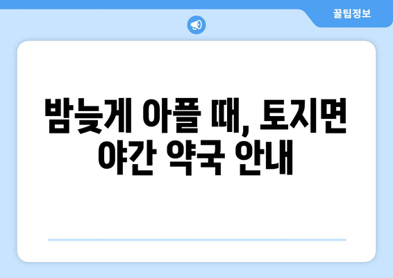 전라남도 구례군 토지면 24시간 토요일 일요일 휴일 공휴일 야간 약국