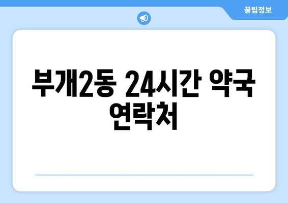 인천시 부평구 부개2동 24시간 토요일 일요일 휴일 공휴일 야간 약국