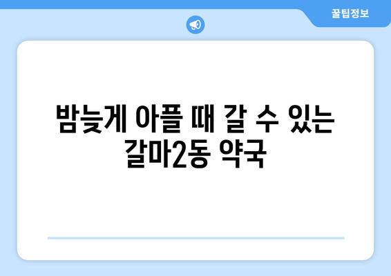 대전시 서구 갈마2동 24시간 토요일 일요일 휴일 공휴일 야간 약국