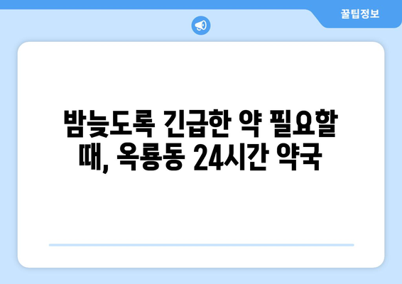 충청남도 공주시 옥룡동 24시간 토요일 일요일 휴일 공휴일 야간 약국