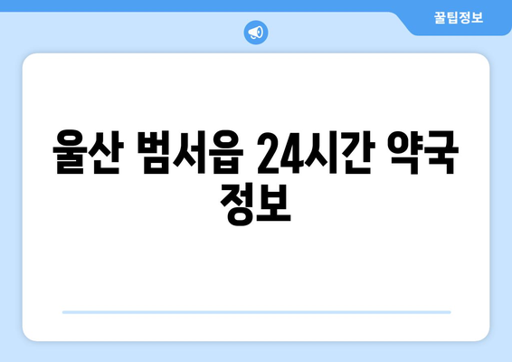 울산시 울주군 범서읍 24시간 토요일 일요일 휴일 공휴일 야간 약국