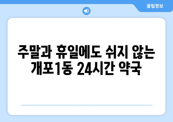 서울시 강남구 개포1동 24시간 토요일 일요일 휴일 공휴일 야간 약국