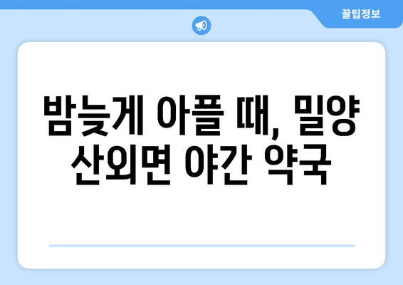 경상남도 밀양시 산외면 24시간 토요일 일요일 휴일 공휴일 야간 약국